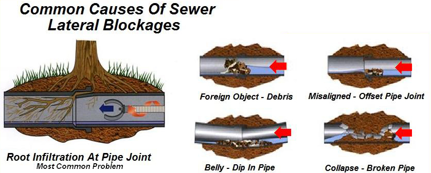 Cause of Sewer Problems